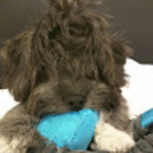 Meet your Posher, Bianca